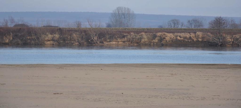 brzegiem Wisły i w jej