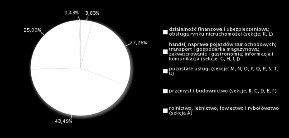 Wykres. Struktura badanych przedsiębiorstw według rodzaju działalności Źródło: Departament Rynku Pracy MRPiPS, Informacja roczna dla PUP powiat grajewski 4.