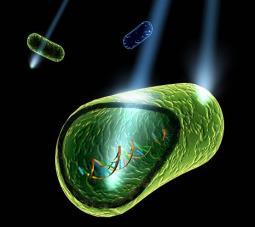 The UV wavelengths are divided in 4 groups, each with a different germicidal effect UV-A (315 400 nm), UV-B (280 315 nm), UV-C (200 280 nm) and Vacuum UV (100 200 nm).