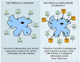 Dezynfekcja chemiczna Chemiczne środki dezynfekcyjne powodują: nieodwracalną destrukcję komórek, zakłócenie procesów metabolicznych, zakłócenie biosyntezy i wzrostu.