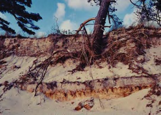 Wykorzystanie wskaźników ekologicznych do oceny stanu i zmian środowiska geograficznego 77 rekonstrukcją przestrzennej struktury osadniczej prowadzone były w okolicach Torunia (Chełmża) oraz Kałdusa