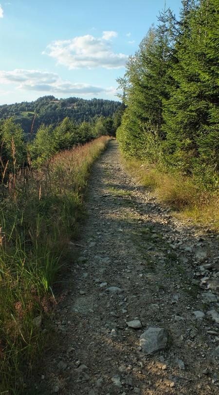 Widoki z szlaku czerwoengo (rejon za ruinami koliby) w kierunku Kiczery na Beskid Mały, w tym dominujący, charakterystyczny, ścięty wierzchołek góry Żar, oraz dolinę Międzybrodzką.