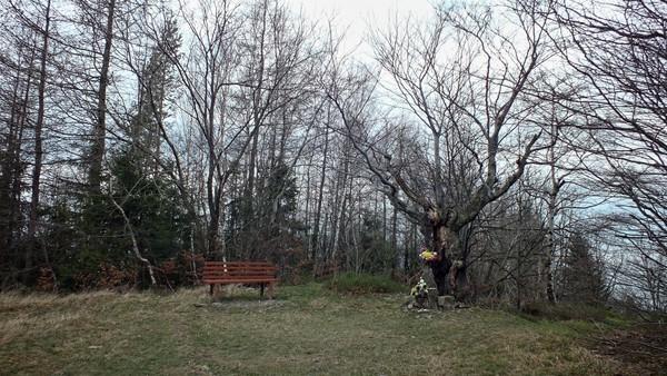 Kiczera 831 m n.p.m., od lewej: team wędrowców w komplecie, widok z Kiczery na Beskid Żywiecki, Kotlinę Żywiecką, Zalew Żywiecki, po lewej szczyty Beskidu Małego, po prawej Śląskiego.