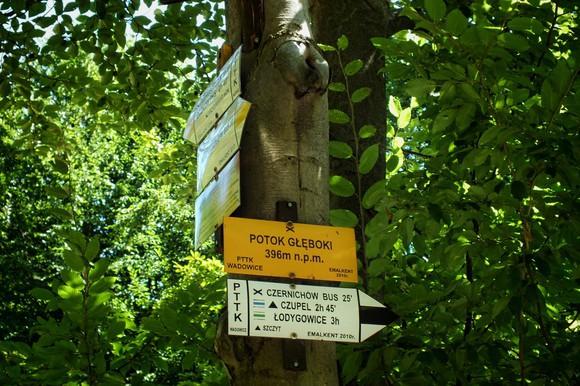 metrów wiodło będzie cały czas szutrową drogą leśną, intensywnie się wznoszącą, obok Głębokiego Potoku.