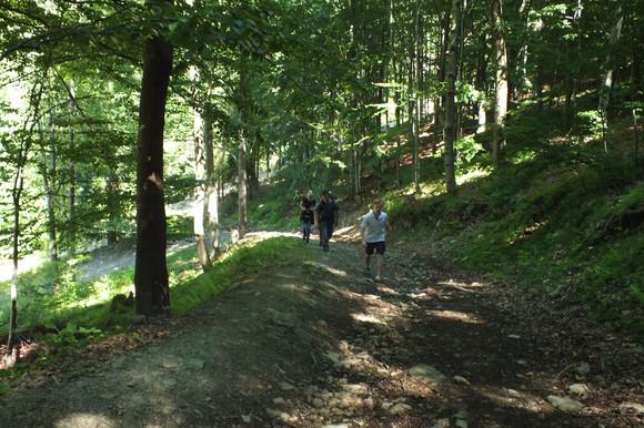 .. Po opuszczeniu Doliny Głębokiego Potoku i pokonaniu kilkunastu minutowego podejścia, ścieżka na chwilę złagodnieje, wyprowadzając nas na krawędź lasu, gdzie w