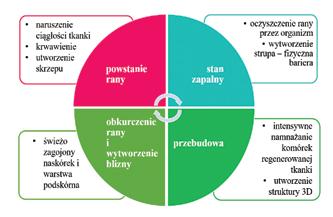 procesu gojenia oraz chroniczne. Te pierwsze powstają w wyniku mechanicznych urazów tarcia lub rozerwania.