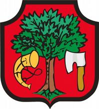 ORGANIZATORZY: