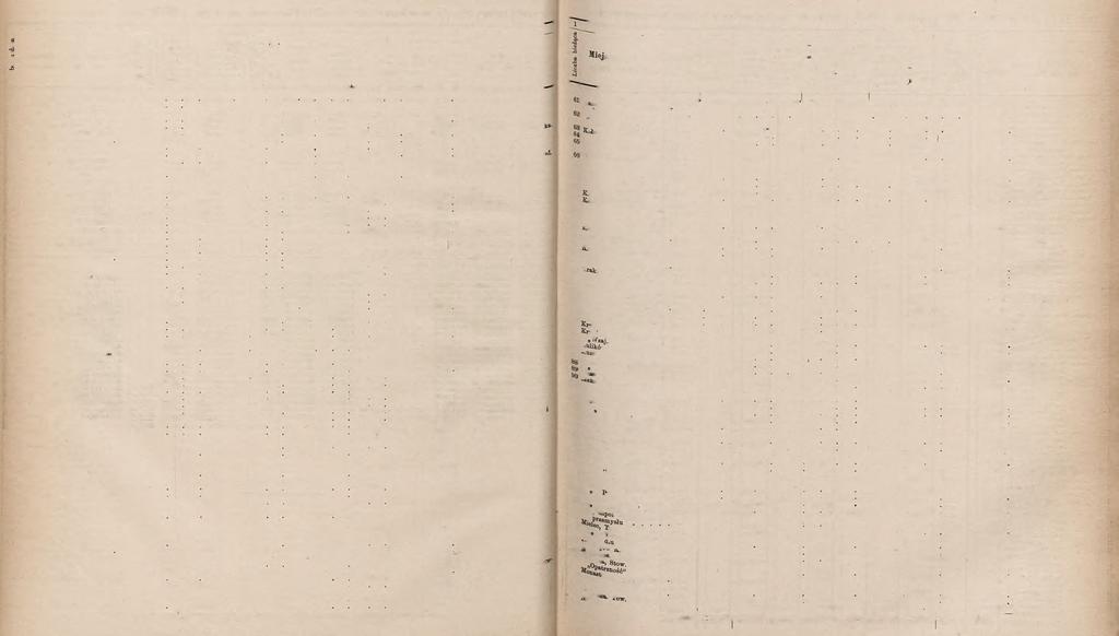 Tab. II. Stan z dniem 31. grudnia 1893. pożyczek zaciągniętych przez towarzystwa 1. 2. 3. 4. 5. 6. 7. 8. 9. 10. 1 1. 12. 13. o Austro- Tow. W z. Prowince* Bank za Publiczne węgierski Bank Ubezp.