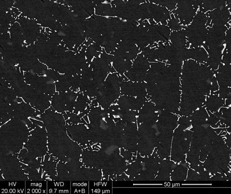 260 Praca zbiorowa Prace IMŻ 1 (2010) cania w temperaturze 1260 o C. Skład chemiczny badanego stopu przedstawiono w tabl. 1. Tablica 1. Skład chemiczny badanego stopu MAR M509 (% mas.) Table 1.