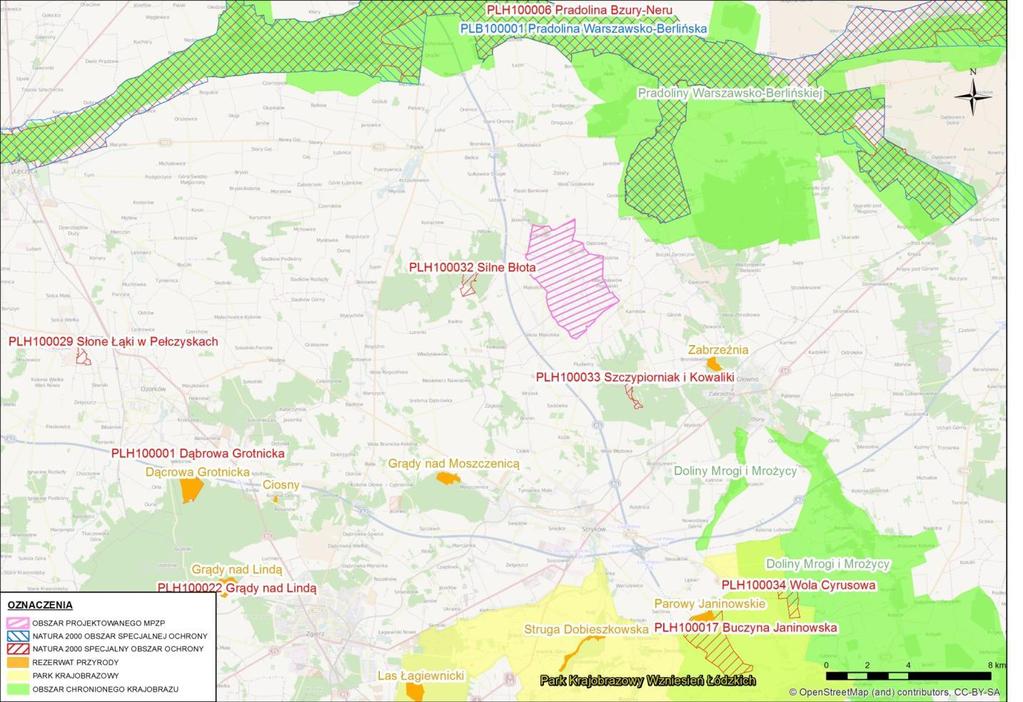 Prognoza oddziaływania na środowisko projektu zmiany miejscowego planu zagospodarowania przestrzennego Gminy Głowno dla obszaru części wsi Mąkolice, części wsi Wola Mąkolska, wsi