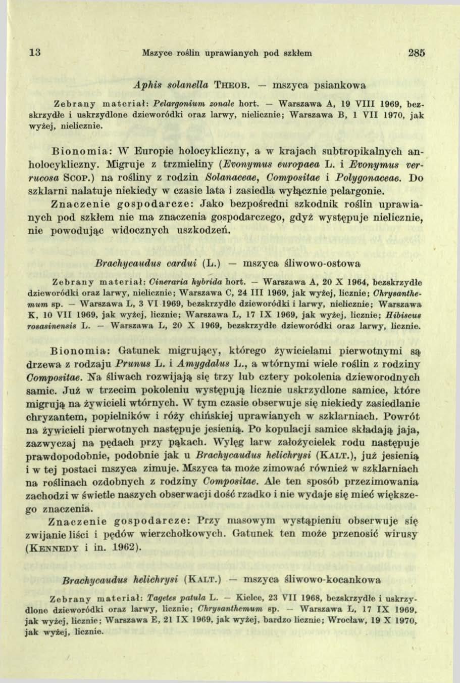 13 Mszyce roślin uprawianych pod szkłem 285 Aphis solanella Theob. mszyca psiankowa Z e b r a n y m a t e r i a ł : P elargonium zonale h o rt.