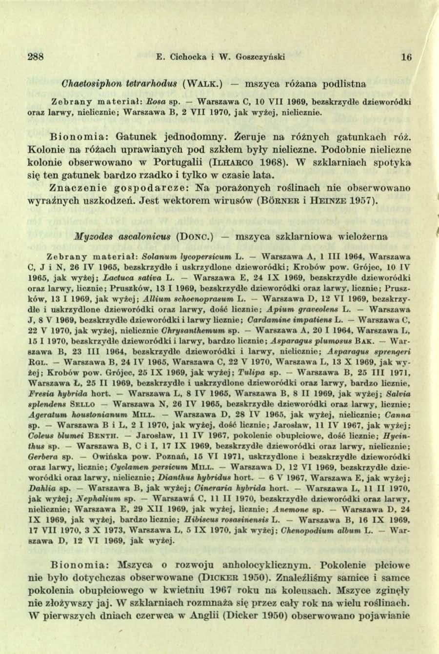 288 E. Cichocka i W. Goszczyński 16 Chaetosiphon łetrarhodus (W a l k.) mszyca różana podlistna Z e b r a n y m a t e r i a ł : B osa sp.