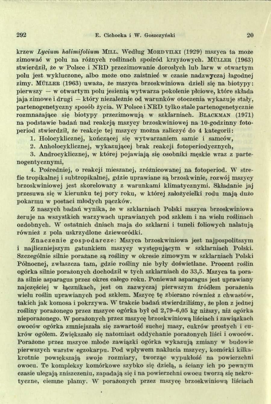 292 E. C ichocka i W. G oszczyński 20 krzew Lycium halimifolium Mill. Według Mord vilki (1929) mszyca ta może zimować w polu na różnych roślinach spośród krzyżowych.