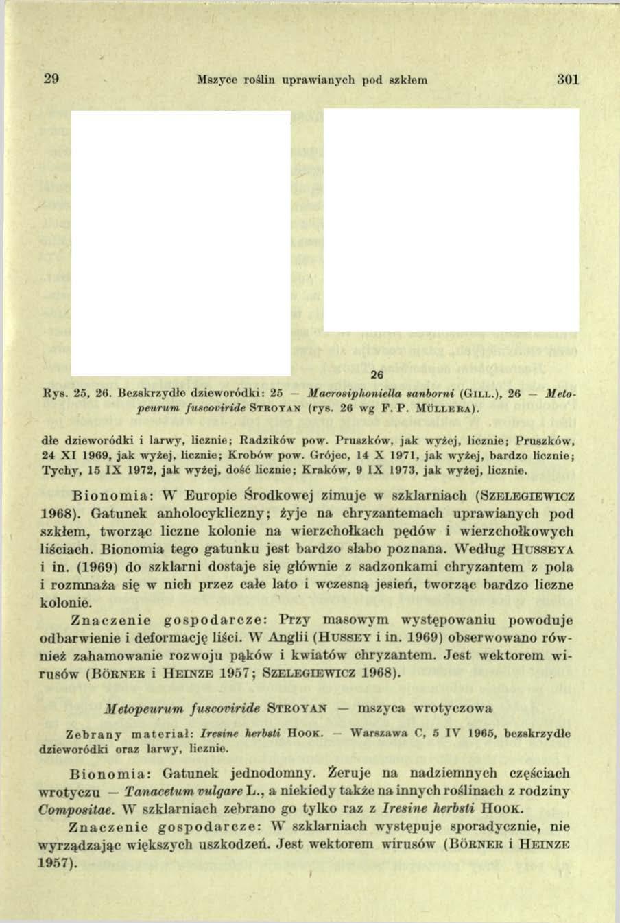 29 Mszyco roślin upraw ianych pod szkłom 301 25 Rys. 25, 26. Bozskrzydłe dziew oródki: 25 Macrosiphoniella sanborni (GlLL.), 26 Metopeurum fuxcoviride Stroyan (ryg. 26 wg P. P. MOl l e r a ).