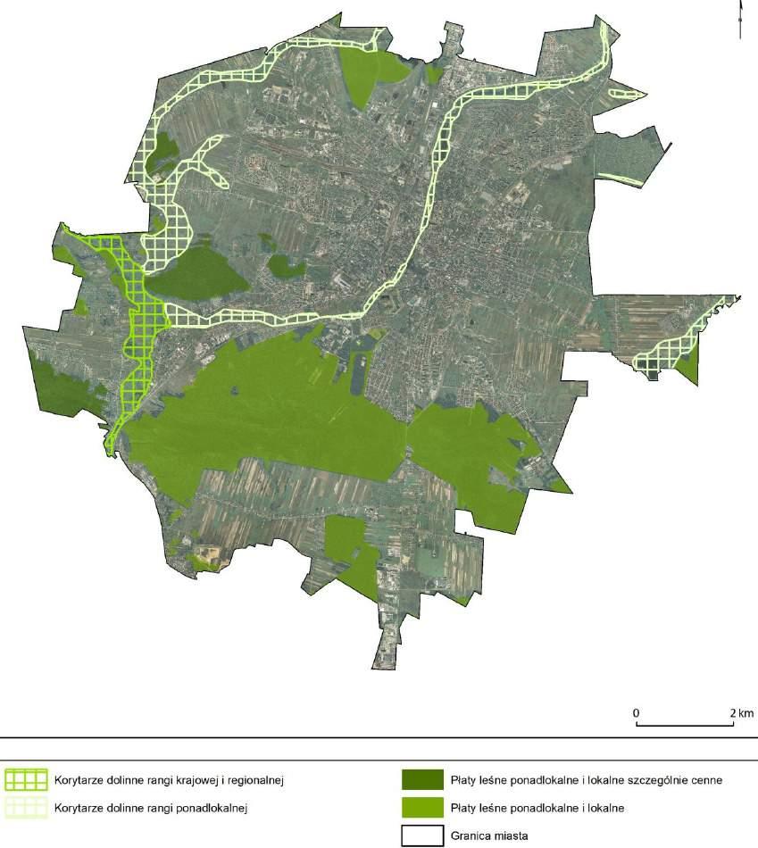 Rysunek 5. Mapa korytarzy ekologicznych źródło:www.um.kielce.pl Zgodnie z treścią Ustawy z dnia 16 kwietnia 2004 roku o ochronie przyrody (Dz. U. z 2016 r., poz. 422), Art.