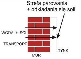 OPIS MECHANIZMU KOROZJI WSKUTEK ODDZIAŁYWANIA SOLI BUDOWLANYCH Sole zawarte w gruncie i materiałach budowlanych występują w postaci chlorków, siarczanów i azotanów.