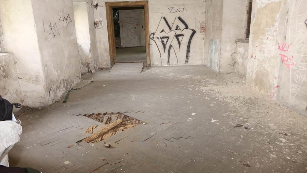 Skutki działalności grzybów domowych oraz owadów technicznych szkodników drewna.