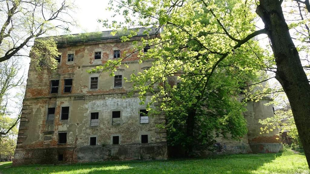 Elewacja zachodnia Wilgotne ściany stwarzają bardzo dobre warunki do rozwoju
