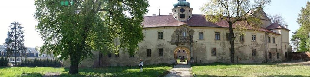 WIDOK