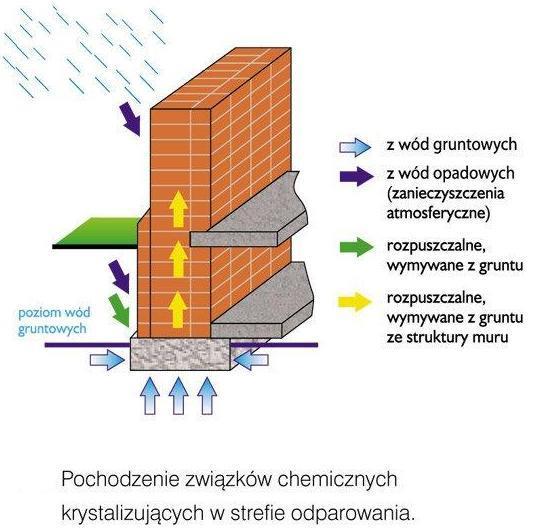 BADANIA LABORATORYJNE Zbadano laboratoryjnie takie czynniki skażenia mikrobiologicznego jak grzyby pleśniowe.