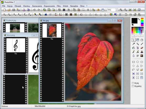 Droga do celu: W programie PhotoFiltre otwórz wybrane pliki (lisc.jpg, Fryderyk.jpg i klucz.png). Z fotografii lisc.jpg, Fryderyk.jpg i klucz.png wyodrębnij elementy do wykorzystania na plakacie.