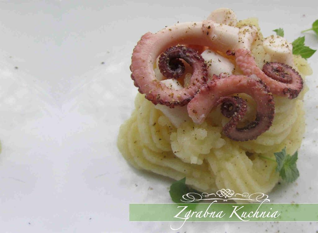 Ośmiornica w