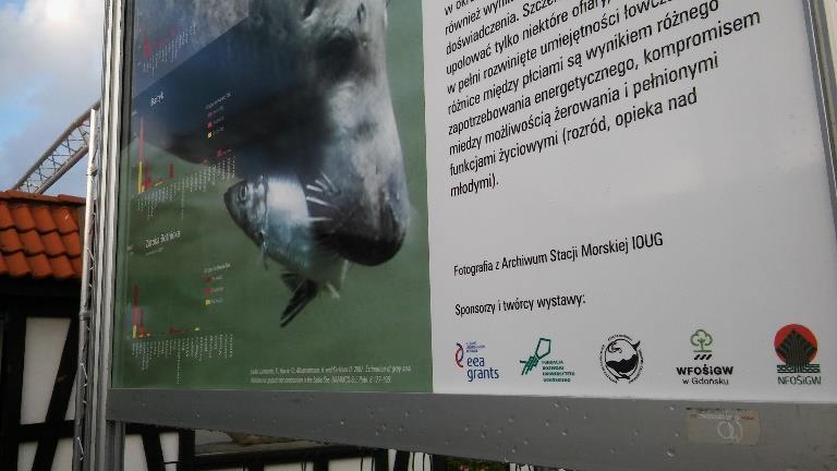 klatki dorszowe (cot pot) sztuk 3, sieci ponton trap 1 sztuka. 9.