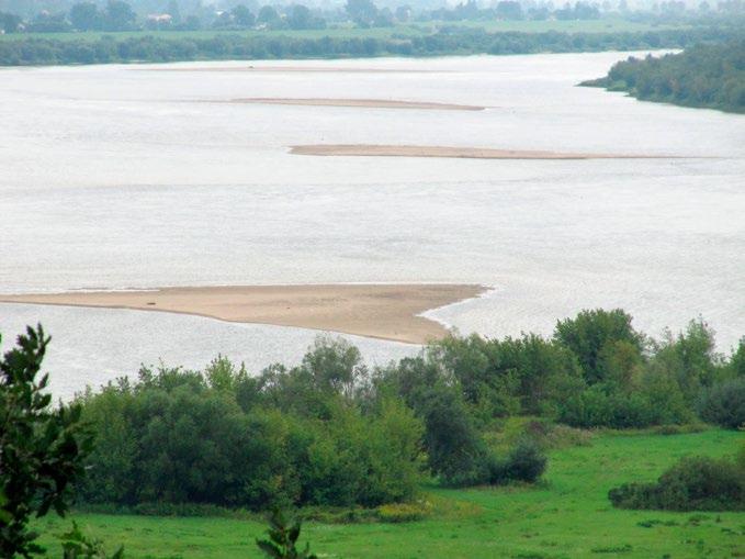 przegłębień, płycizn i odsypów (fot. P. Pawlaczyk) Fot. 4. Wielka rzeka nizinna (Wisła w dolnym biegu, k.