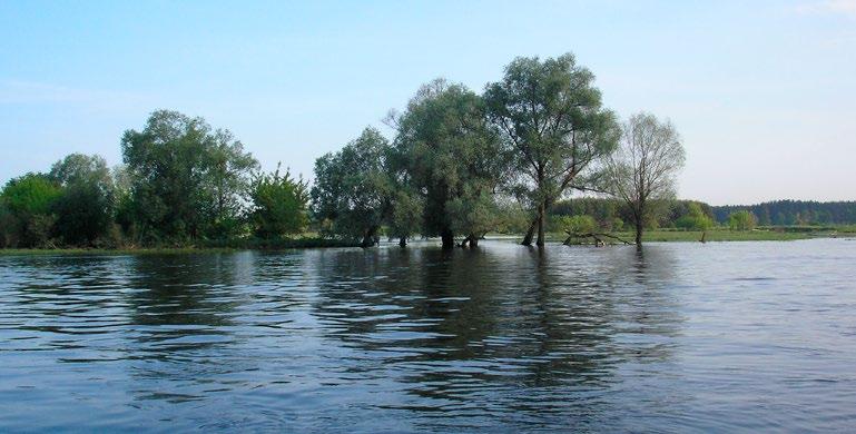 Tabela 5. Średnie straty w przypadku zalania różnych kategorii terenu wodami powodziowymi o głębokości do 0,5 m, wg rozporządzenia Ministrów z 22 stycznia 2013 r.