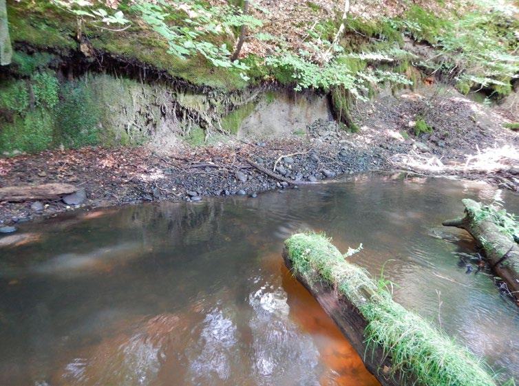 (odległość do 100 m) budowli hydrotechnicznych oraz innych elementów infrastruktury (np.