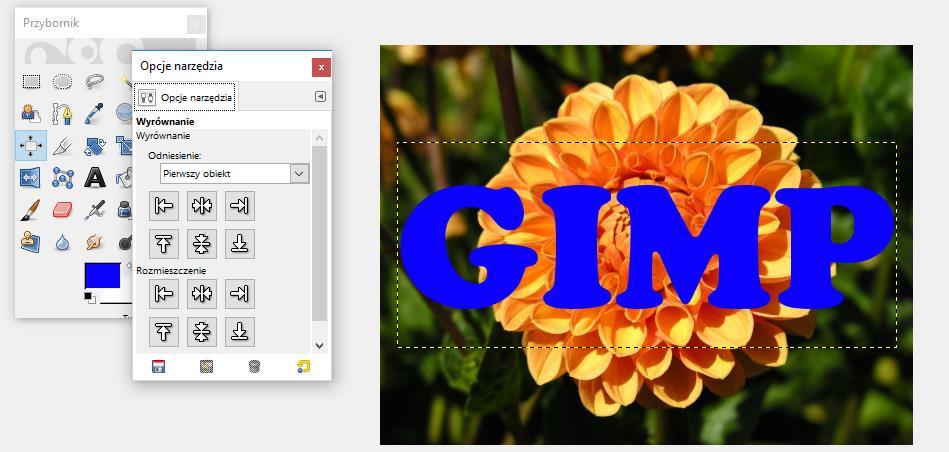 Klikamy na obrazie i wpisujemy tekst: GIMP 4.