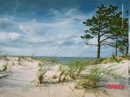 Zakończenie Pamiętaj, że Bałtyk i jego wybrzeże jest naszym wspólnym dobrem, o które trzeba dbać!