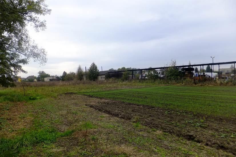 Strzelecka 78, 44-203 Rybnik; tel: 502773557,