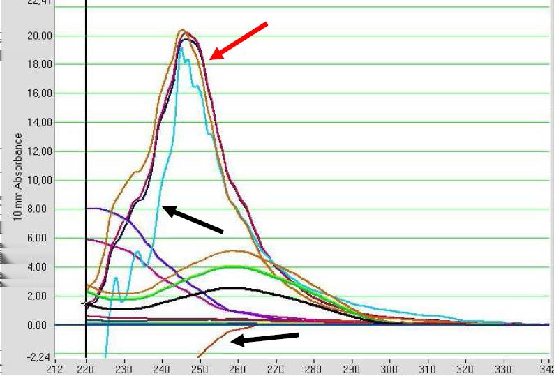 podobny jak w przypadku zanieczyszczenia solami chaotropowymi. Takie DNA/RNA nie nadaje się do zastosowań enzymatycznych. A260/230 i A260/280 mogą przyjmować zaskakujące wartości (>2.