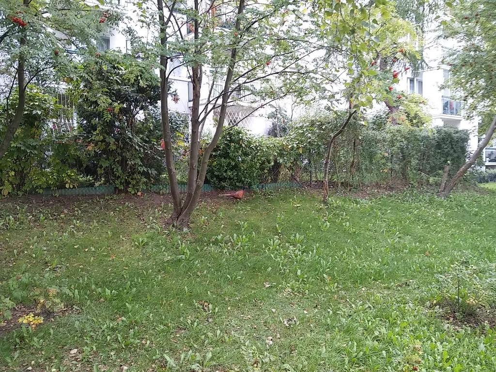 Na poprzednią pocztę redakcyjną, którą przesłał pan Marcin Poszukiwana, poszukiwany, zareagowała straż miejska.