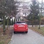 urzędem dzielnicy Ursynów i
