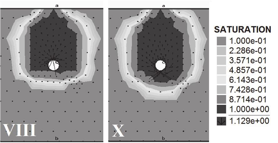 422 Paweł Suchorab, Beata Kowalska, Dariusz Kowalski Fig. 4. Saturation of soil profile in the moment of water outflow on the surface variants I & VI Rys. 4. Nasycenie profilu glebowego w momencie wypływu wody na powierzchnię warianty I oraz VI Fig.
