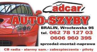 PIESZY, KIEROWCA?