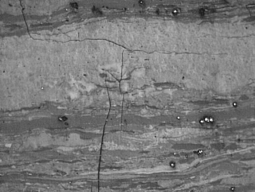 Mining and Environment Próbka węgla z pokładu 615 w KWK Śląsk Analiza składu petrograficznego węgla wykazała duży udział inertynitu i dość małą zawartość liptynitu.
