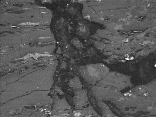 G Mining and Environment Fot. 14. Nieprawidłowe spękanie endo- i egzokliważowe w duroklarycie, wypełnione węglanami Photo. 14. Irregular crack endo- and egzocliwadge in duroclarite, filled by carbonates 2.