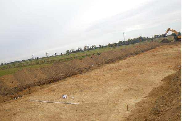 Fot. 7. Kock stan. 10.