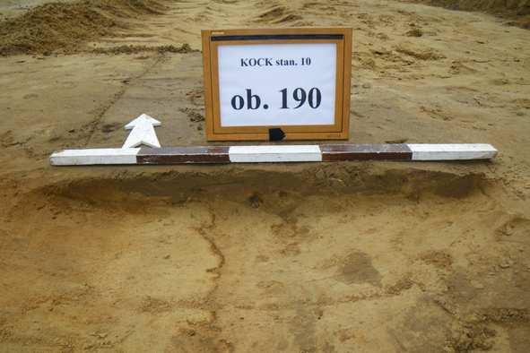 Fot. 21. Kock stan.