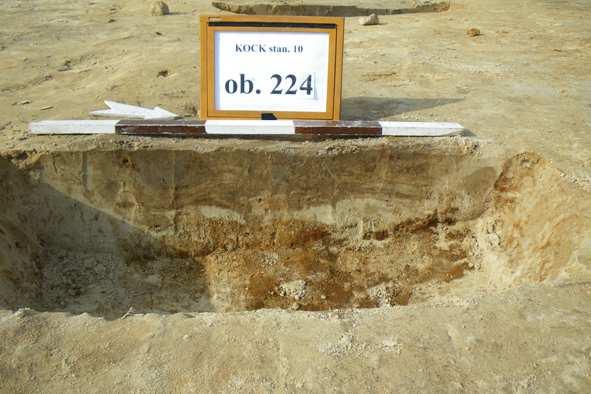 Fot. 31. Kock stan.