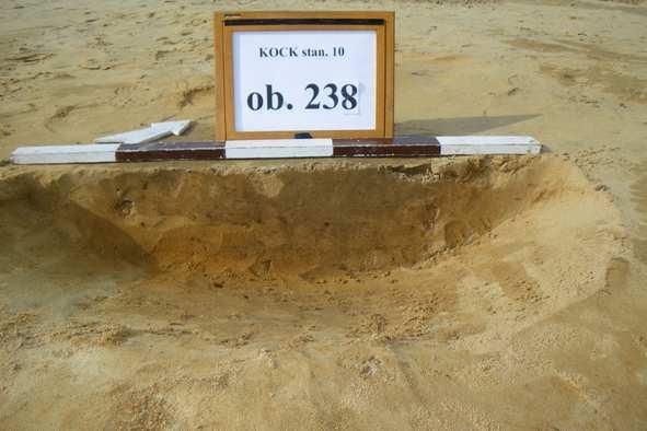 Fot. 37. Kock stan.