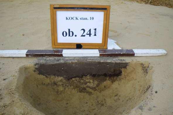 Fot. 43. Kock stan.