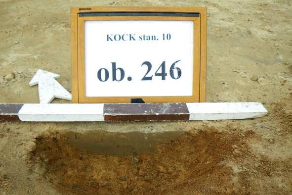 Fot. 47. Kock stan. 10.