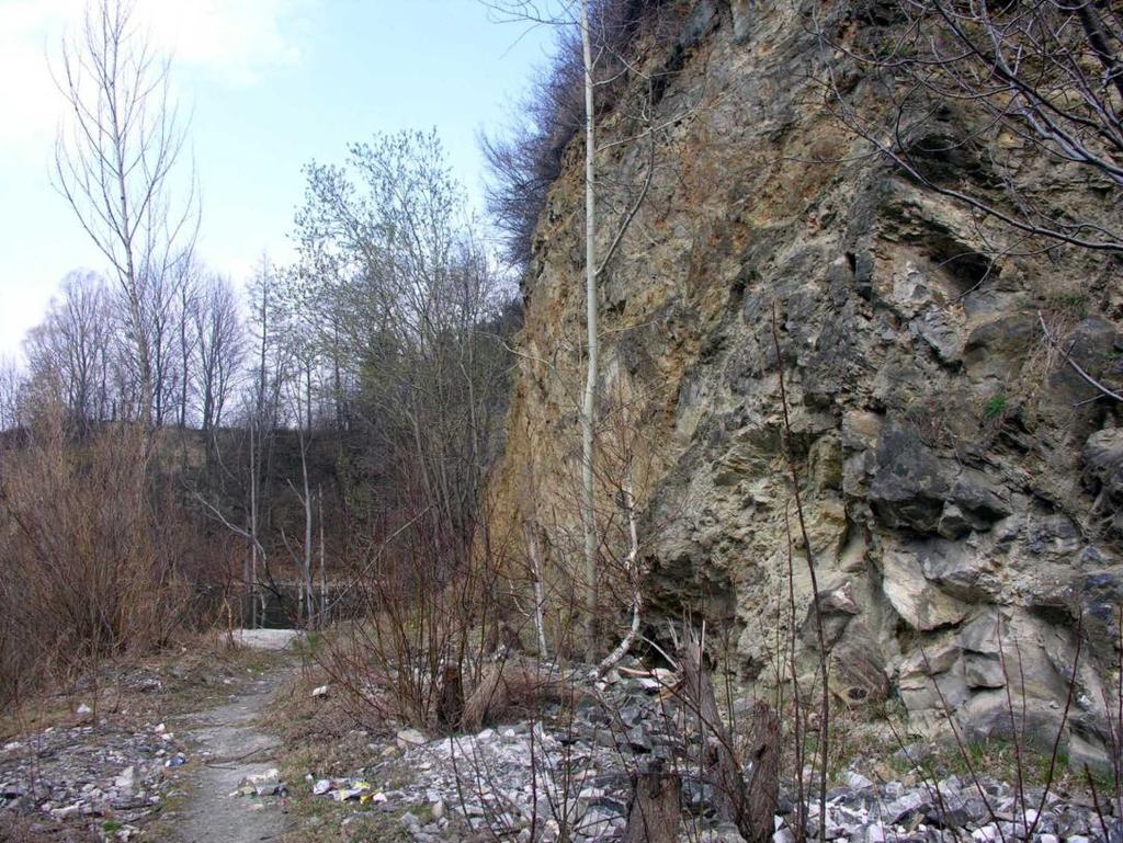Fot. 1.
