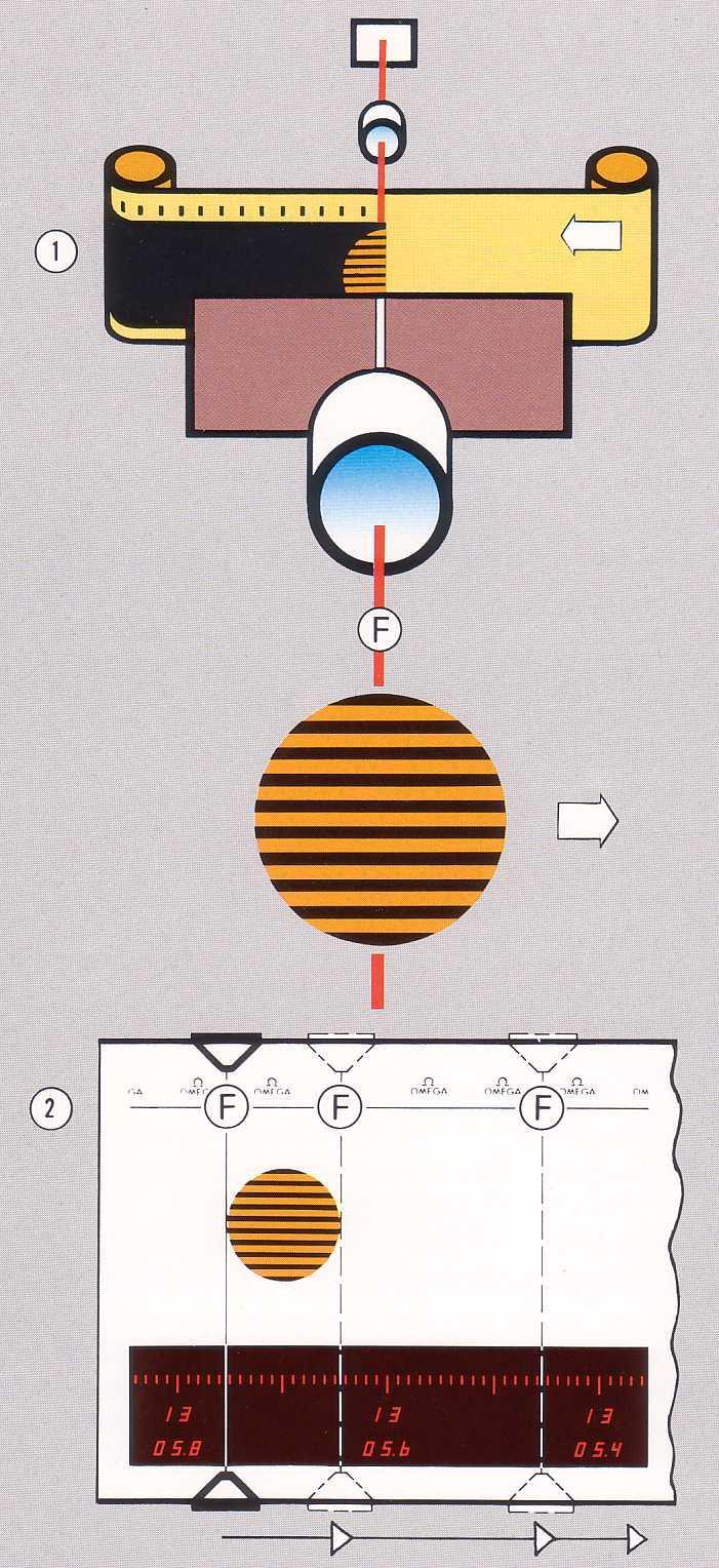 6. Sędziowanie