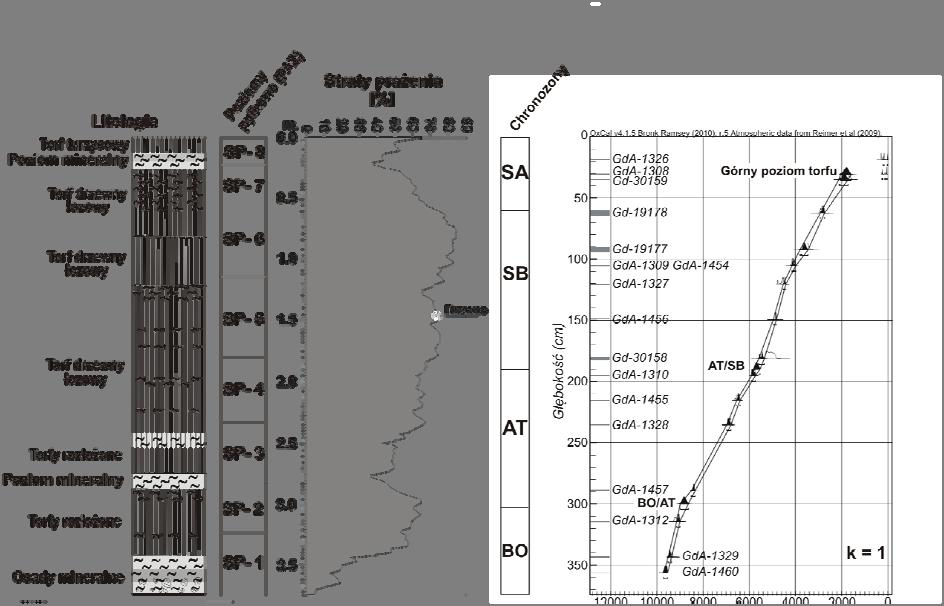 Do konstrukcji modelu wiek-głębokość dla profilu Pcim-Sucha 1 Log 2 wykorzystano procedury obliczeniowe programu OxCal, w szczególności polecenie P_Sequence.