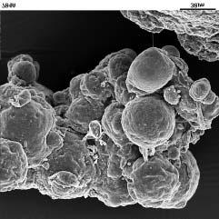 134 POLIMERY 2006, 51,nr2 posites obtained [3] as well as some mechanical properties [4].